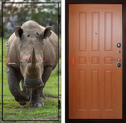 Металлическая дверь с фотопечатью носорога ДФ-31 в Брянске