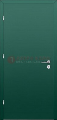 Зеленая стальная дверь с нитроэмалью ДН-6 в Брянске