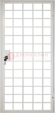 Белая металлическая решетчатая дверь ДР-2 в Брянске