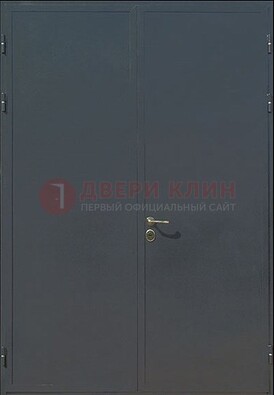 Двухстворчатая техническая дверь ДТ-5 в Брянске